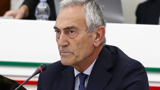 gabriele gravina
